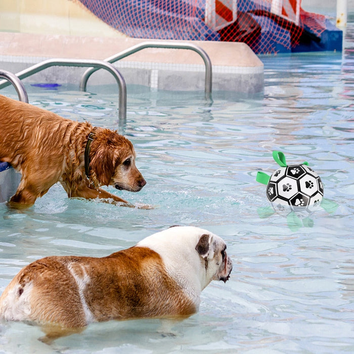 Interactive Pet Dog Paw Football Toy