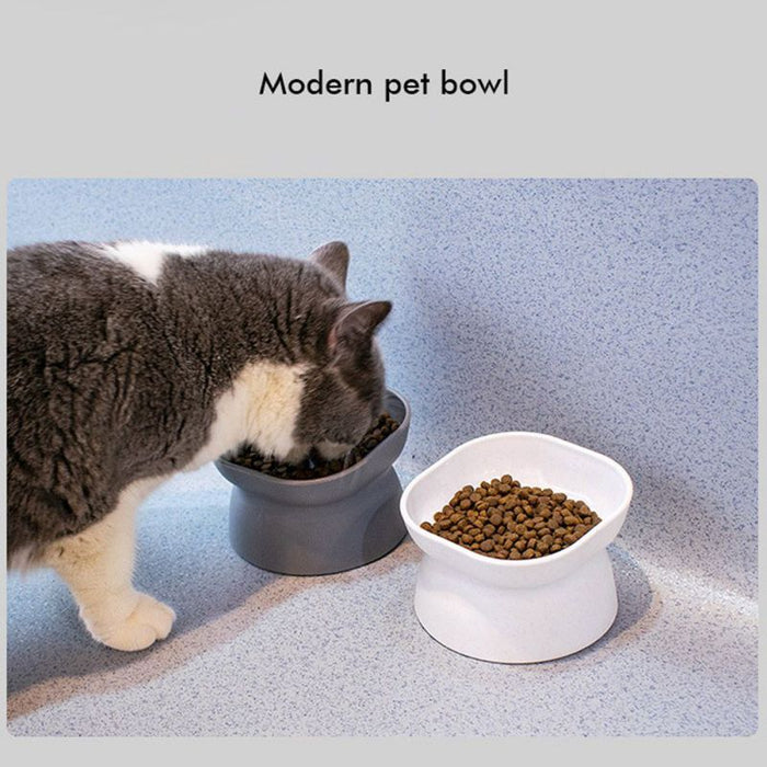 Pet Dog Feeder Bowl