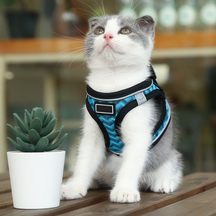 Pet Dog Harness and Leash Set