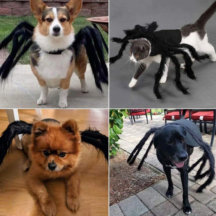 Pet Cat Halloween Spider Clothes