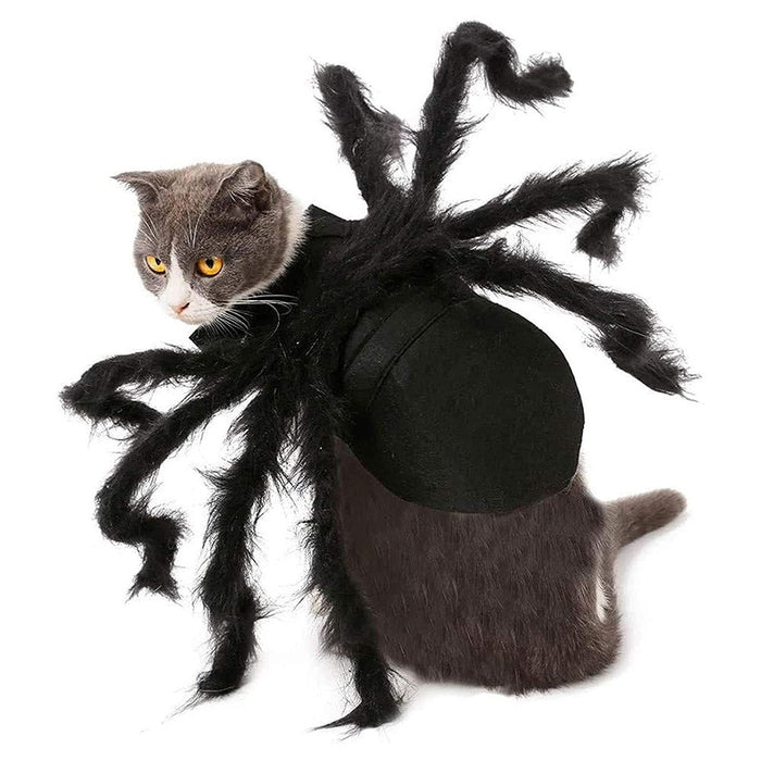Pet Cat Halloween Spider Clothes