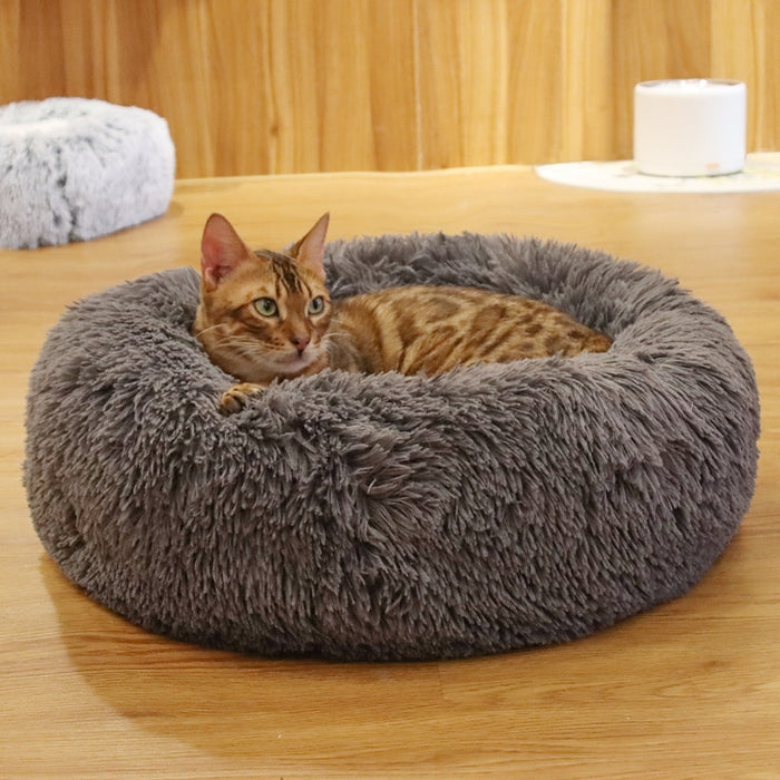 Pet Cat Round Beds House