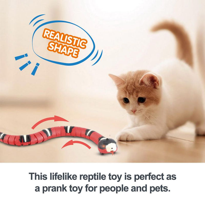 Smart Sensing Snake Cat Toys