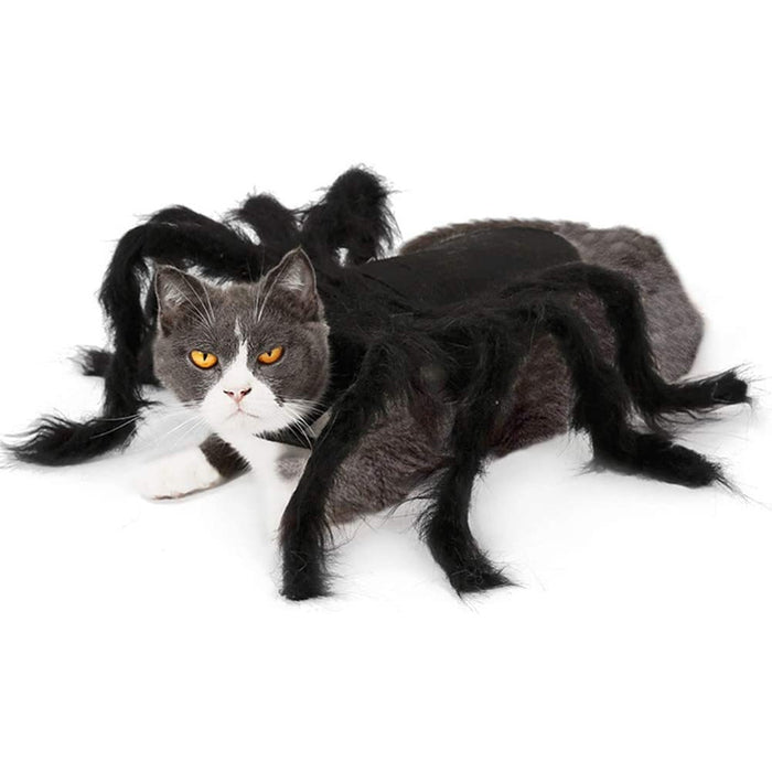 Pet Cat Halloween Spider Clothes
