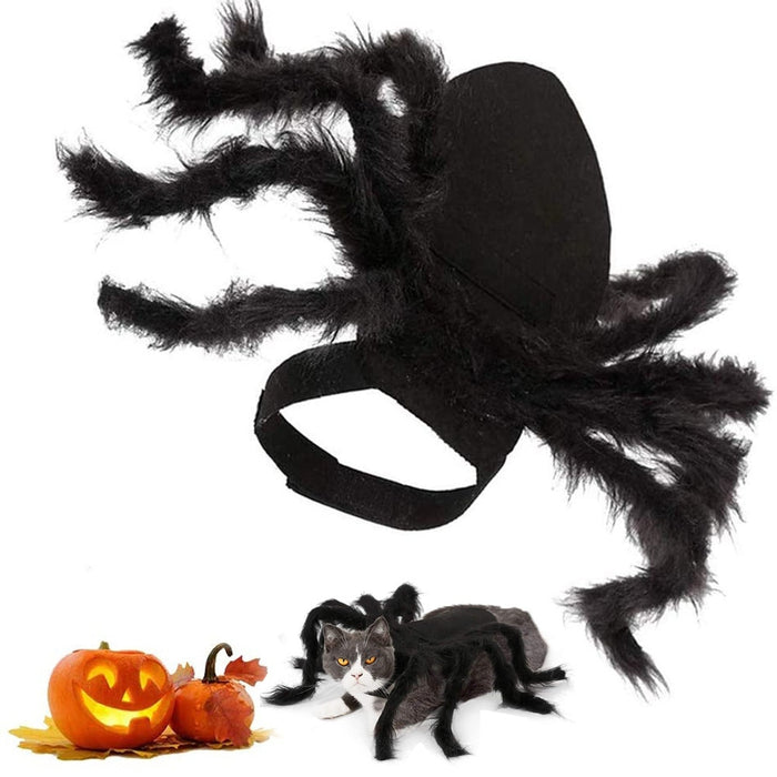 Pet Cat Halloween Spider Clothes