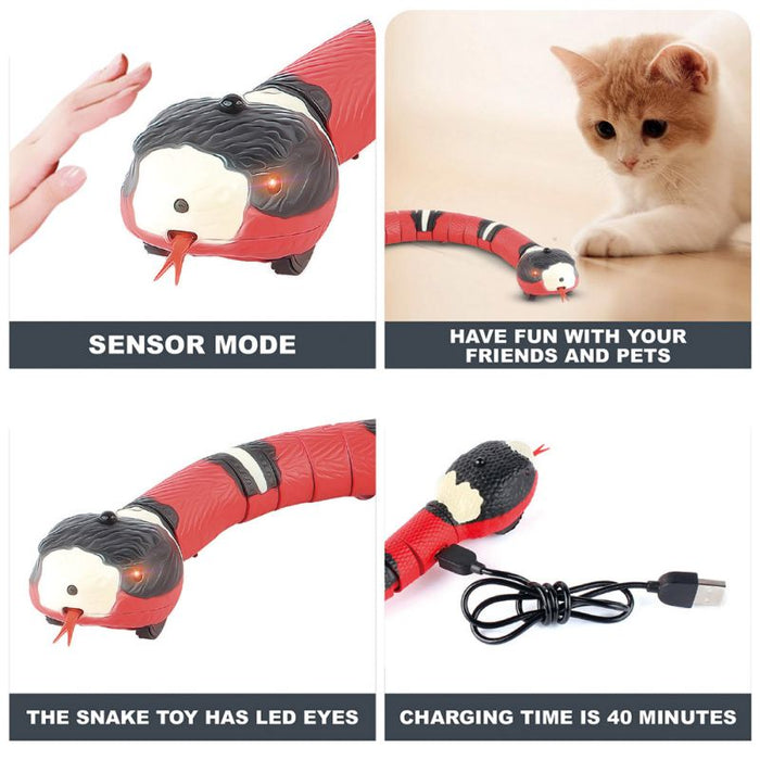Smart Sensing Snake Cat Toys
