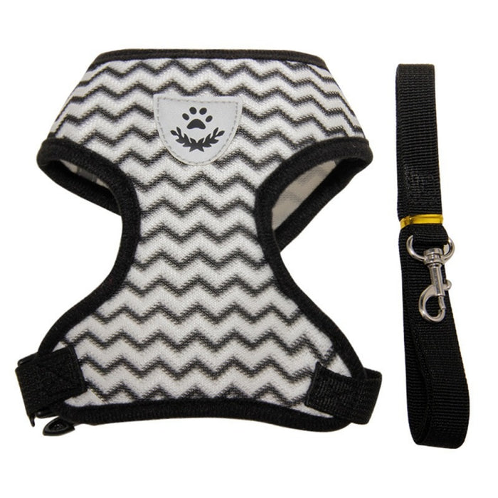 Pet Dog Harness and Leash Set