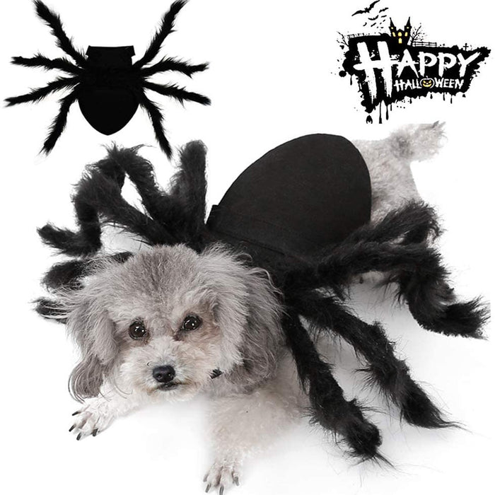 Pet Cat Halloween Spider Clothes