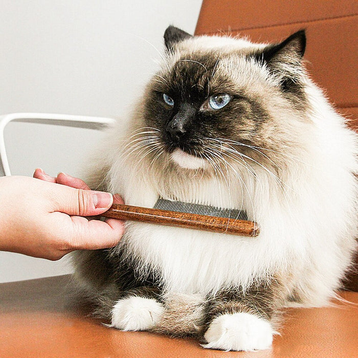 Pet Cat Comb Walnut