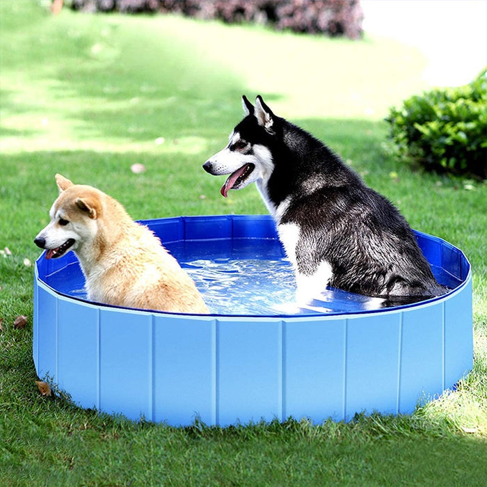 Foldable Pet Dog Bed Swimming Pool Portable