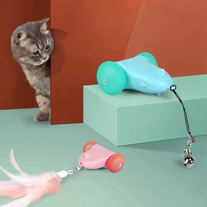 Pet Cat Interactive Feather Toys