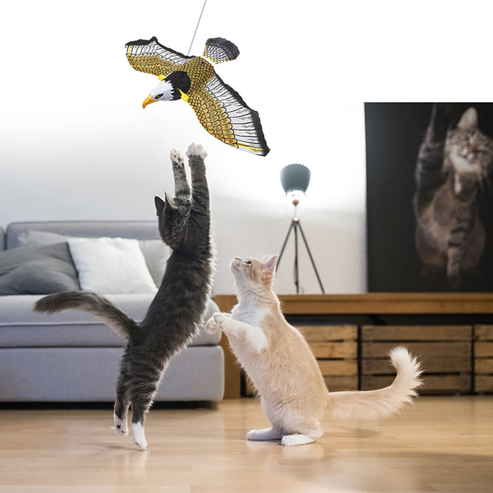 Interactive Simulation Bird Cat Toys