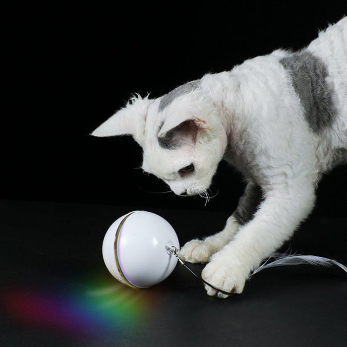 Electric Pet Ball Toys
