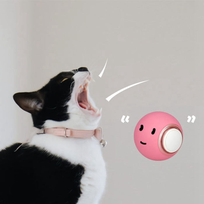 Smart Cat Rolling Ball Toys
