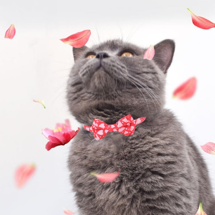 Pet Cat Collar Adjustable