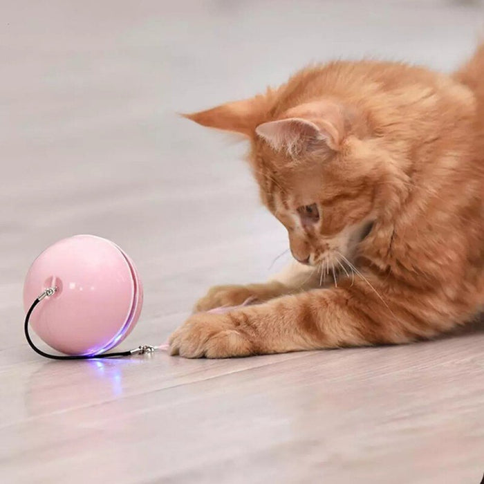 Electric Pet Ball Toys