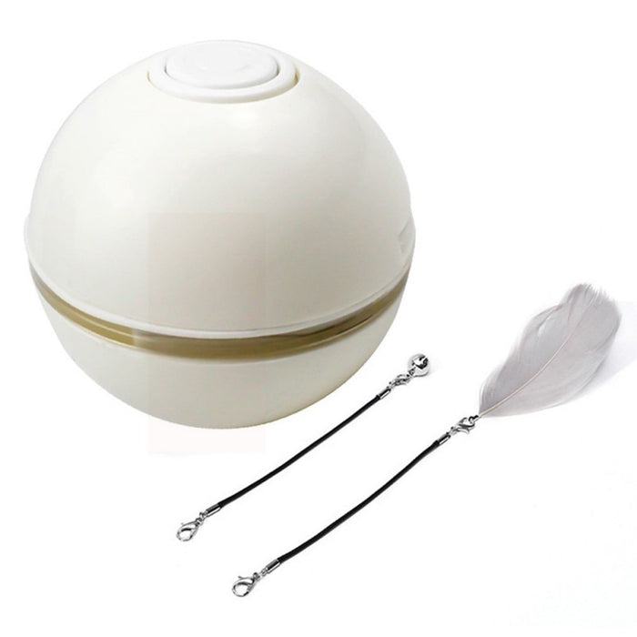 Electric Pet Ball Toys