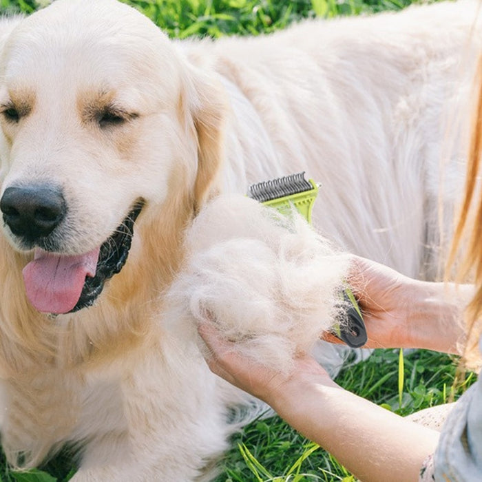 Pet Dog Hair Removal Comb Brush