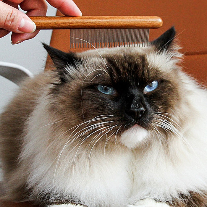 Pet Cat Comb Walnut