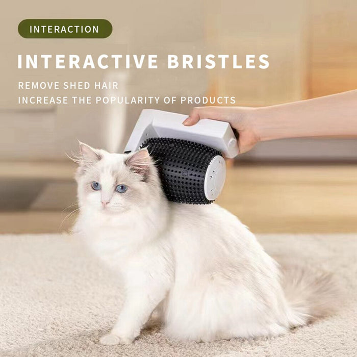 Pet Cat Self Groomer Automatic