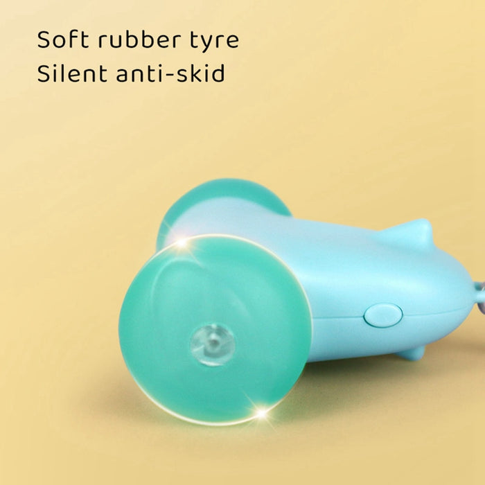 Pet Cat Interactive Feather Toys