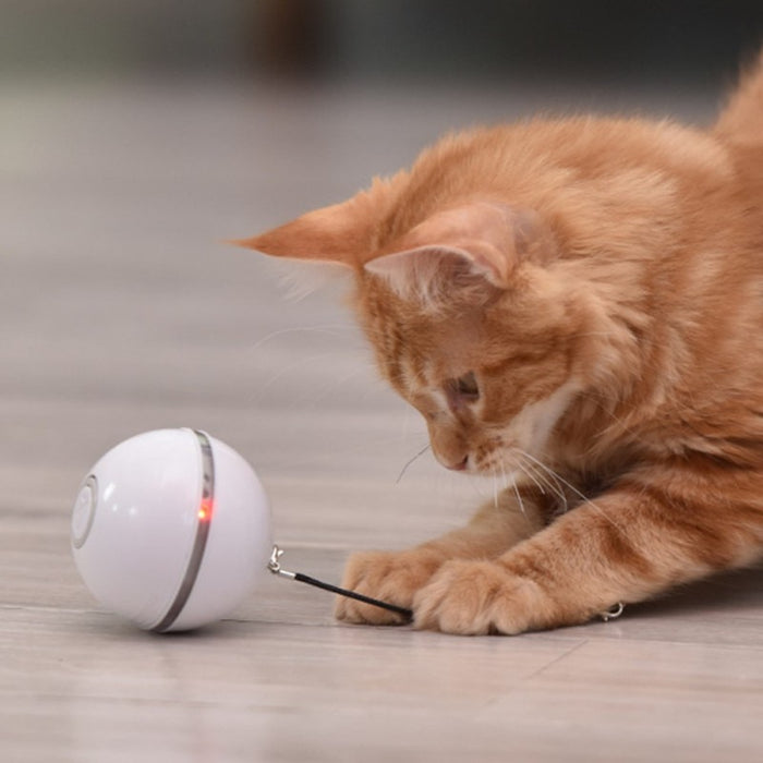 Electric Pet Ball Toys