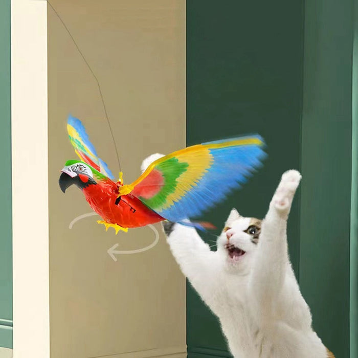 Interactive Simulation Bird Cat Toys